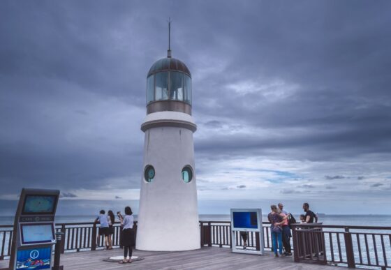 Lessons from Busan: How Smart Tourism Ecosystems Enhance Sustainability and Resilience