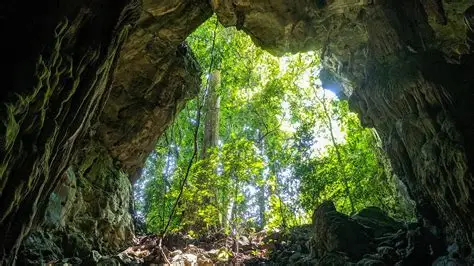 OIP.zumd0ipUUNlaJx5V0PmargHaEK