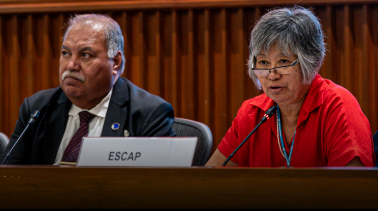 82ⁿᵈ Session ESCAP Side Event