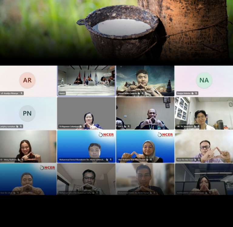 The 8th IMT-GT PIT RCRIC Meeting