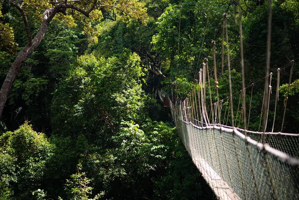 taman-negara-pahang